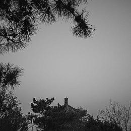 重拳出击！动视正式起诉《使命召唤》外挂开发者